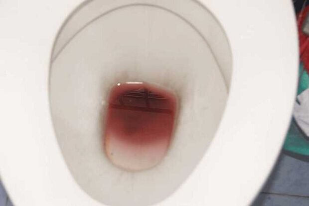 te kite i nga tane i te wa e hikaka ana